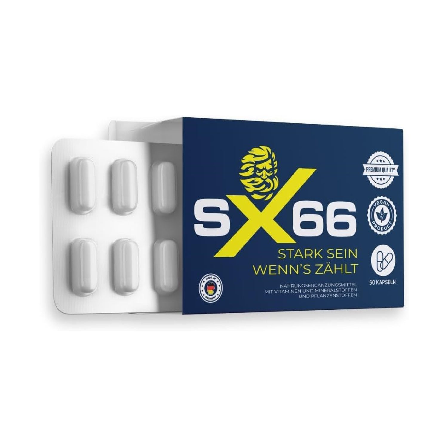 SX66